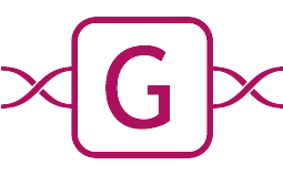 Logo de G.i.N. GmbH